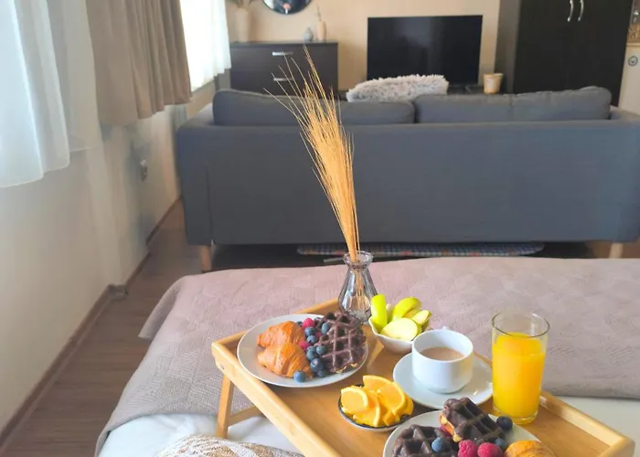 Urban Atelier 300m From Gondola, Free Bottle Of Wine, Free Parking Apartment Bansko